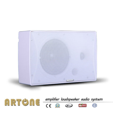 BS-8412 Fashion looking wall mount speaker