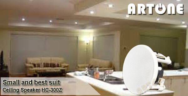 Home Audio Small Ceiling Speaker 2-way Coaxial Frameless Hifi Speaker HC-300Z
